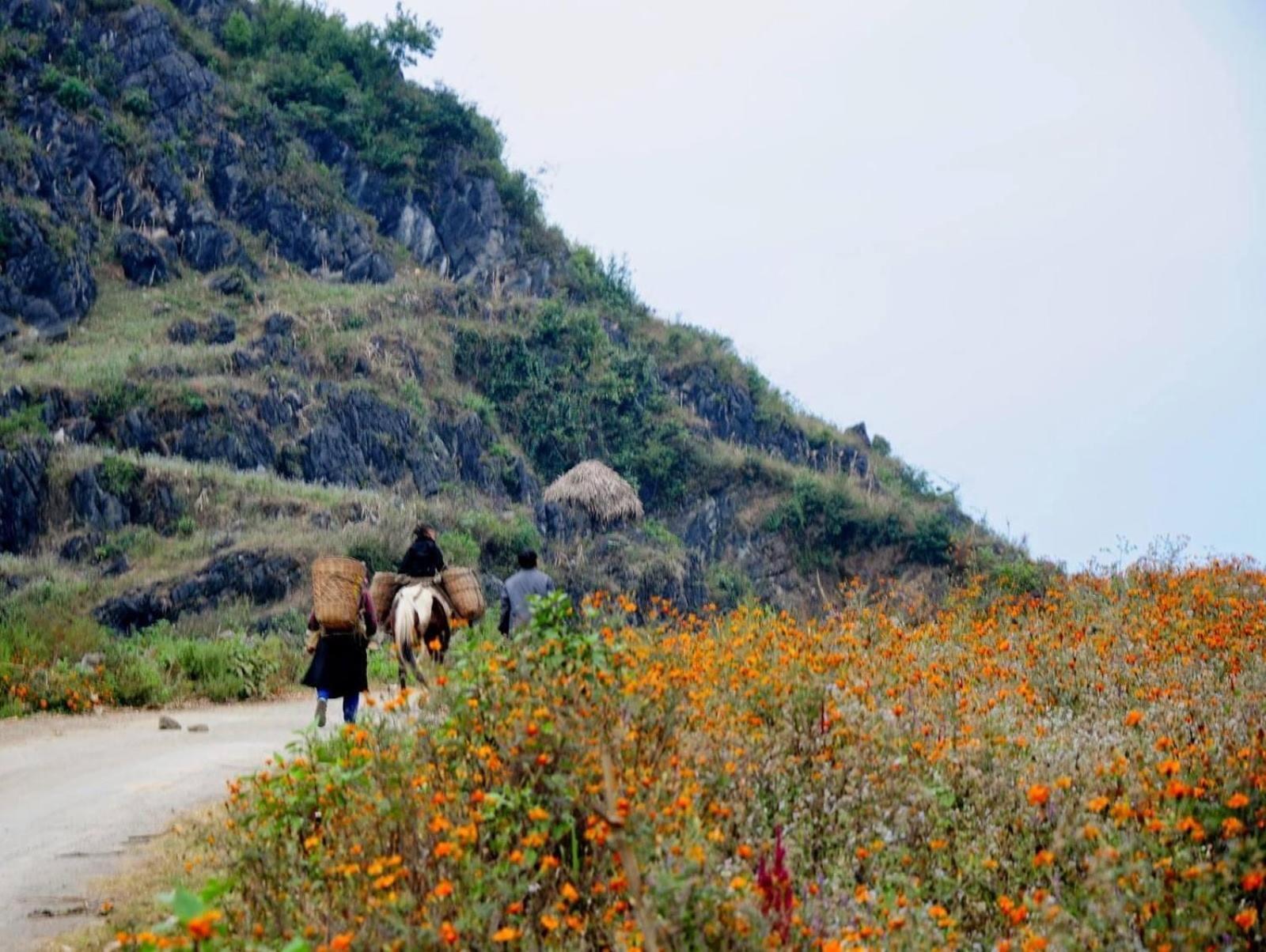 Hang Thuong Hostel - Motorbikes And Tour Ha Giang Exteriör bild